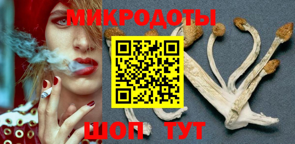 Галлюциногенные грибы Psilocybe  Вход с VPN  Артём 